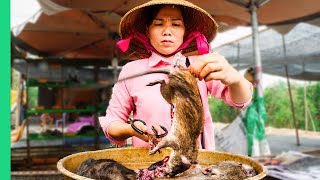 Asia’s SHOCKING Live Animal Market Extreme Food Tour in the Mekong Delta [upl. by Dobb]