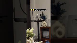 يقول الأرقام بالانجليزي وجاه نوم 😂 سعيدبنتركي كوكوالخبل birds [upl. by Sheppard405]