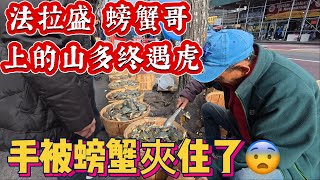 法拉盛，螃蟹哥，上的山多终遇虎，手被螃蟹夾住了😨 2024年11月20日 [upl. by Auqinimod]