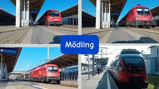 Züge Mödling Bahnhof  Trainspotten [upl. by Willock]