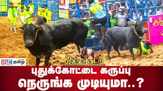 புதுக்கோட்டை கருப்பு நெருங்க முடியுமா  Pudhukottai Karuppu  Palamedu Jallikattu  IBC Tamil [upl. by Aseela]