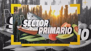 Sector Primario 04 de septiembre 2024 04 09 24 [upl. by Bergquist]