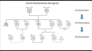 Genogram Drawing Guide  How to Draw Family and Emotional Relationships Genogram EdrawMax [upl. by Nhaj601]