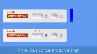 How to use iHealth COVID19 Antigen Rapid Test Kit Step 5  Read your results at 15 mins [upl. by Erialc]