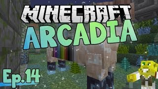 Dat Quest Ram though  Minecraft Arcadia  Ep14 [upl. by Laws]