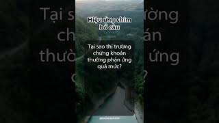 Hiệu ứng chim bồ câu taichinhcanhan phattrienbanthan podcast thanhcong [upl. by Winston]