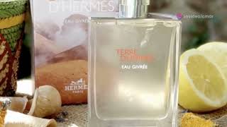 Top Fragrance Expert Reveals Truth About Hermes Terre dHermes Eau Givree [upl. by Farrell]