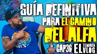 ENTIENDE LOS LIVES DEL TEMACH  TOP 10  TemachVlog CAP 36 [upl. by Pilihp]