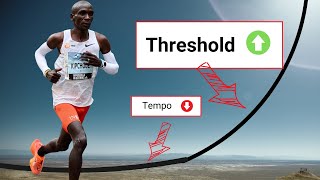 Lactate Threshold vs Tempo Running  The SCIENCE of Training Zones [upl. by Elyrehc]