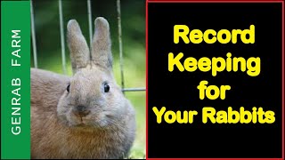 RABBIT FARMING Record keeping in Rabbit [upl. by Jesse]