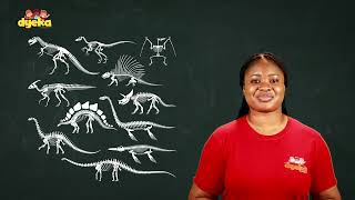 Vertebretes and Invertebrates  Grade 6 Science Part 3 [upl. by Oicnaneb]