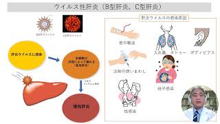 知って肝炎！ー肝臓の基礎から最新治療－ [upl. by Oelc269]