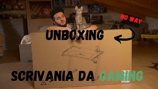 UNBOXING scrivania da GAMING EUREKA Z1S NO WAY [upl. by Enirehtahc]