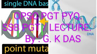 Point mutation  Gene mutation  SSB PGT BIOLOGY  SSB PGT ZOOLOGY QUESTION [upl. by Annoerb]