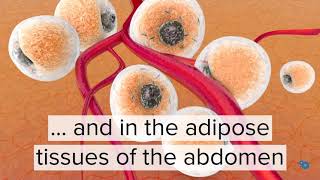 In one minute Fatty Liver Hemorrhagic Syndrome in poultry [upl. by Lavud]