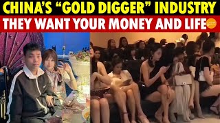 Shocking Revealing China’s “Gold Digger” Industry Well Trained More Than Money They Take Lives [upl. by Allerie952]