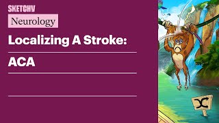 Localizing A Stroke ACA Neurology  Sketchy Medical [upl. by Arikat]