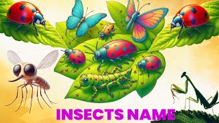 Insects name  Insects for kids  Insects name in english  Phonics song  cartoon song [upl. by Bina]