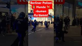 Hundestaffel räumt Kudamm in Berlin Endlich reagiert die Polizei härter [upl. by Brianna384]