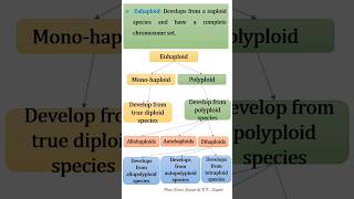 Haploid and Aneuploidy [upl. by Brnaba]