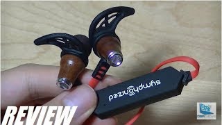 REVIEW Symphonized NRGW 20 Wood Bluetooth Earphones [upl. by Elyr]