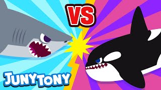 Gran Tiburón Blanco vs Orca  ¡Que Gane el Mejor  Canciones Infantiles  JunyTony en español [upl. by Elie]