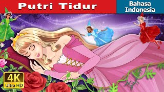 Putri Tidur  The Sleeping Beauty in Indonesian  IndonesianFairyTales [upl. by Allina]