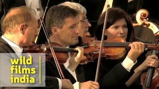 Trumpet Concerto Haydn 2nd movement by Andreas Ottl [upl. by Maffei]