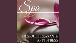 Musique pour lAnxiété le Stress et la Colère [upl. by Ayikal]