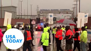 Port workers strike after wage proposal falls short of union demands  USA TODAY [upl. by Eanrahs446]