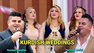 Best Kurdish wedding by Farshad amini ampfarshad nikraftar 2023  best kurdish dance Full Halparke [upl. by Eduard]