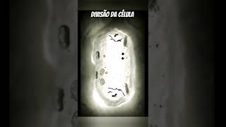 Divisão celular biologia célula mitose [upl. by Collyer]