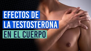 ¿Qué le ocurre a tu cuerpo al tomar testosterona [upl. by Anid]