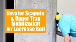 Upper traps amp levator scapula self myofascial release with lacrosse ball [upl. by Yecaj]