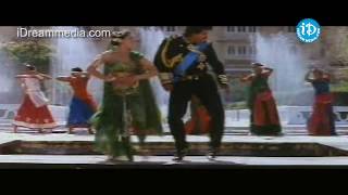 Ammommo Vachaadee Song  Kondapalli Raja Movie Songs  Venkatesh  Nagma  Suman [upl. by Laertnom]