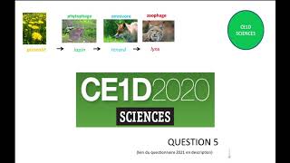 CE1D Sciences 2021  question 5  corrigé [upl. by Dani]