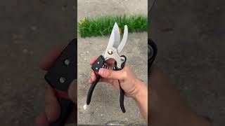 Prune branches with these laborsaving pruning shears Prune branches with these laborsaving pr [upl. by Ursulette]