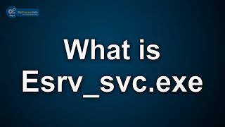 Esrvsvcexe what is it Is Esrvsvcexe Virus or Safe File [upl. by Abram972]