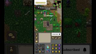 TibiaME  LVL UP 258 Evento Double xp games tibiagame gameplay tibia [upl. by Kurth]