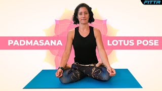 How To Do Padmasana  Lotus Pose [upl. by Ayhtak]