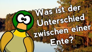 Was ist der Unterschied zwischen einer Ente NerdyBene [upl. by Retxed32]