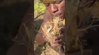 ¡SORPRENDENTE ASI LA LA TRIBU HADZA EN AFRICA ENCIENDE FUEGO curiosidades [upl. by Nuhsyar]