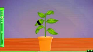 To Demonstrate that light is necessary for photosynthesis e learning science [upl. by Ettezil]