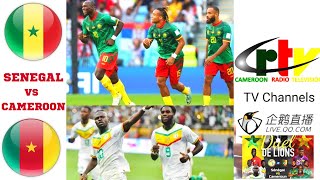 Senegal vs Cameroon Live Stream TV Channels Friendly Football Match Today Lions en Direct Cameroun [upl. by Ahsiadal]