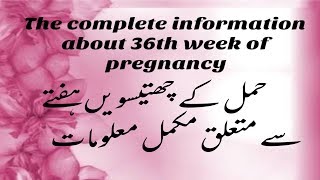 Pregnancy At 36th Week The Complete Mothers Guide About 36th Week Of Pregnancy [upl. by Ahsemed]