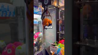 Reversible Octopus STUCK Inside of the Claw Machine 🐙 shorts arcade clawmachine [upl. by Annaira]