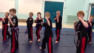 Sedgley School Of Black Belts [upl. by Acinonrev]