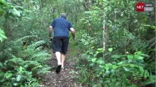 Knysna Forest Walk [upl. by Waechter676]