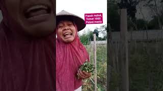 LARANGAN REGO KENCING 2000shortvideo [upl. by Romanas]