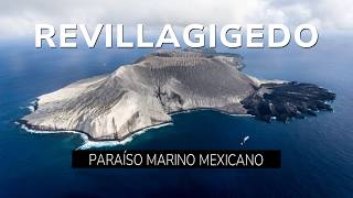 REVILLAGIGEDO El Galápagos MEXICANO y su Increíble Biodiversidad [upl. by Alohcin949]